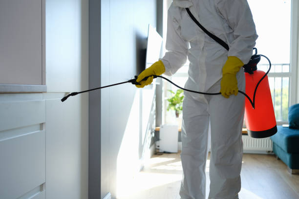 Best Crawl Space Mold Removal  in Orange, VA