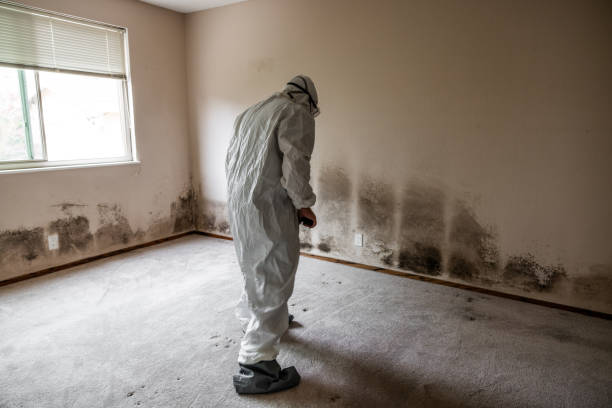Best Professional Mold Removal  in Orange, VA