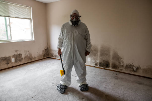 Trusted Orange, VA Mold Removal Experts